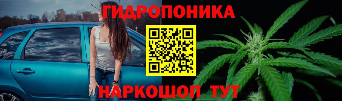 МАРИХУАНА ГИДРОПОН Дивногорск